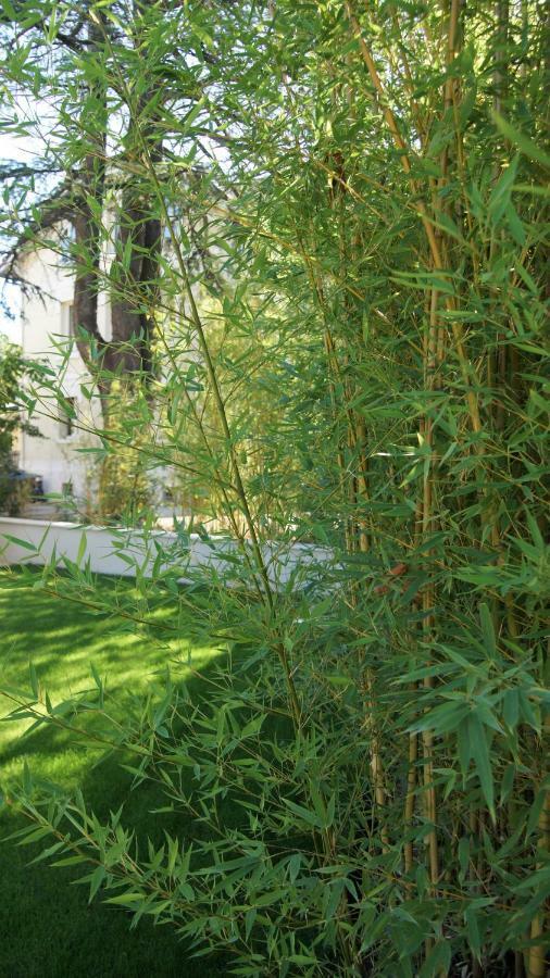 Hotel De Charme L'Oree Du Parc Romans-sur-Isère Dış mekan fotoğraf